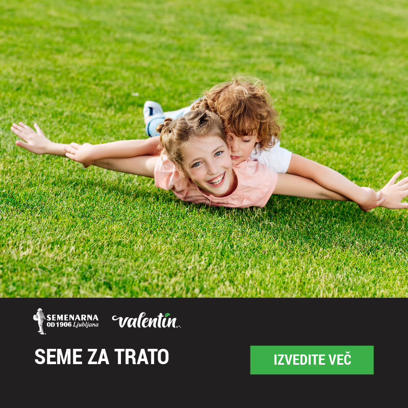 Travna mešanica Valentin