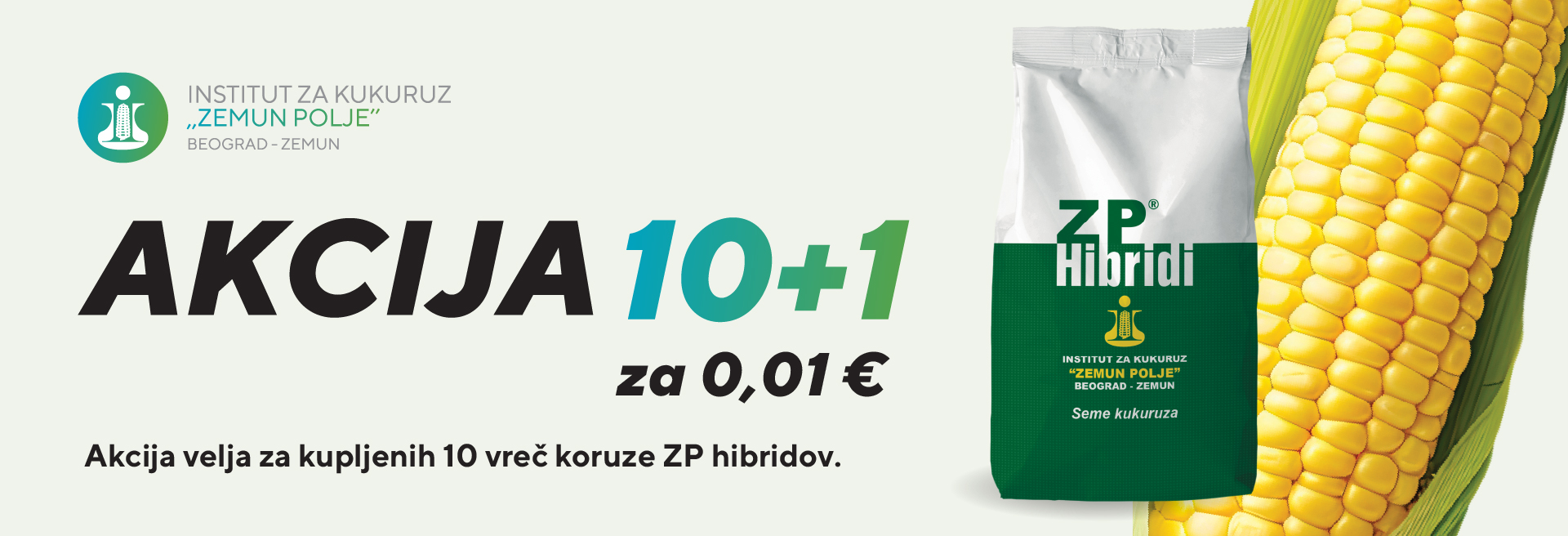 Zp hibridi