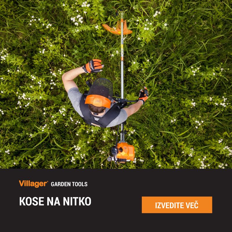 Kose na nitko