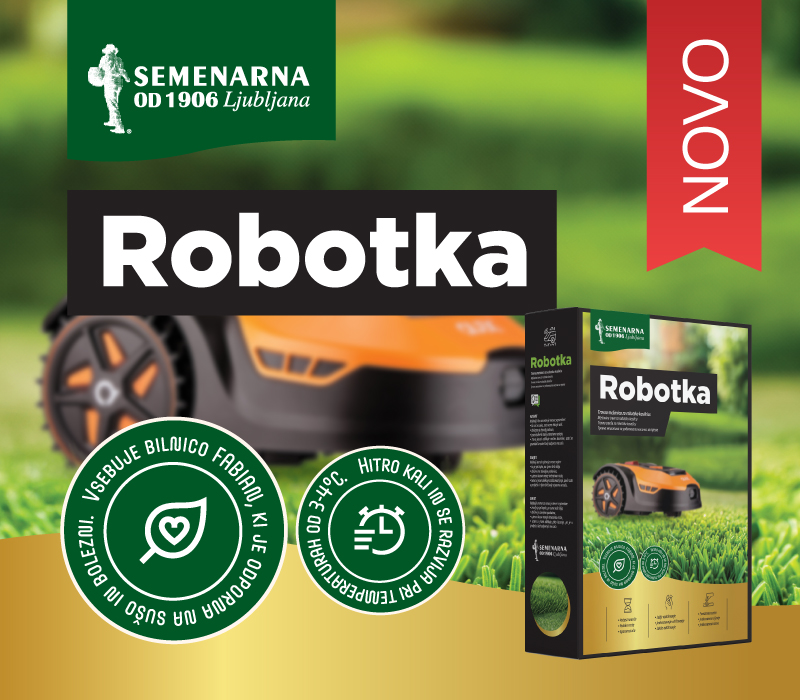 Robotka